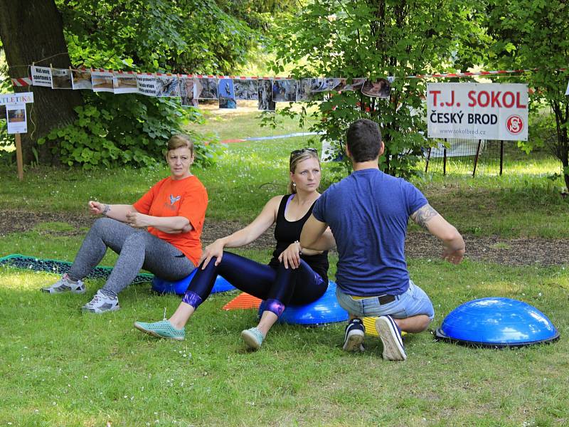 V sobotu se u pivovarského rybníka v Českém Brodě konal festival neziskových organizací.