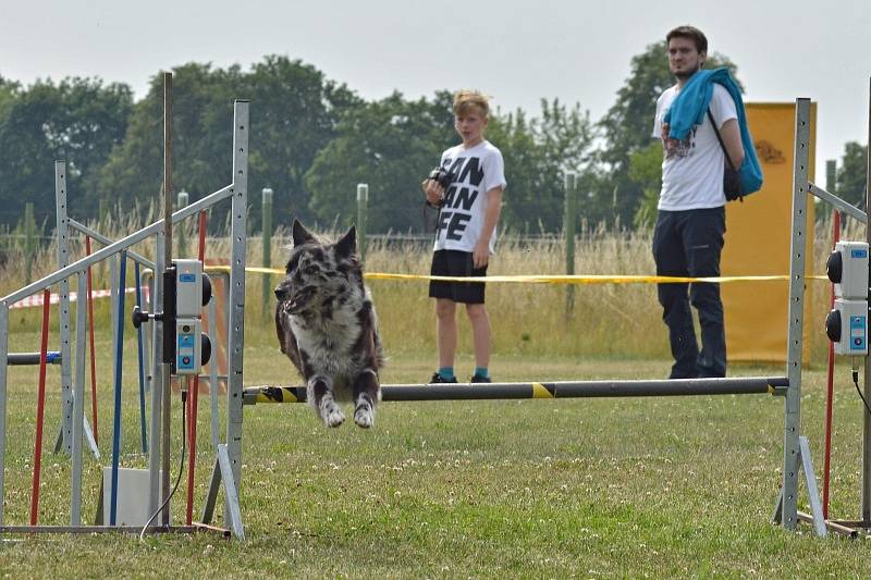 Agility v Ratenicích.