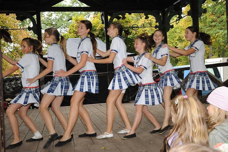 Po sobotním loutkovém festivalu v Českém Brodě se podobná akce uskutečnila v neděli i v Kolíně. Aleš Barry Bureš svůj loutkový festival pojmenoval Šmidra a ... šmytec 