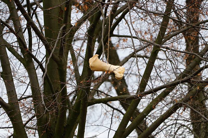 Ze svatomikulášské obchůzky ve skanzenu v Kouřimi.