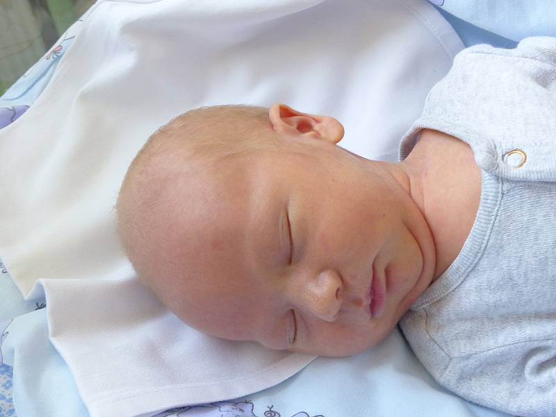 Kryštof Krtil se narodil 25. července 2022 v kolínské porodnici, vážil 3385 g a měřil 50 cm. Do Kutné Hory si ho odvezl bráška Vilém (6) a rodiče Lucie a Vlastimil.