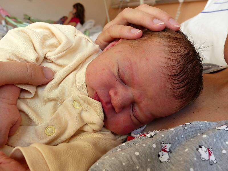 Anna Křížková se narodila 4. února 2019, vážila 3930 g a měřila 51 cm. V Křeseticích se z ní těší maminka Jana a tatínek Radek.