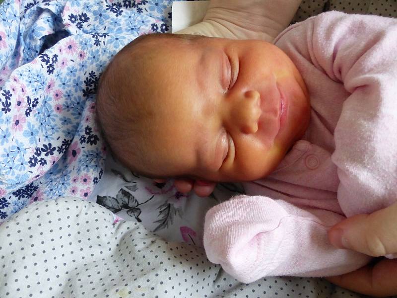 Amálie Charousová se narodila 30. října 2021 v kolínské porodnici, vážila 3390 g a měřila 49 cm. V Praze bude vyrůstat s maminkou Terezou a tatínkem Lukášem.