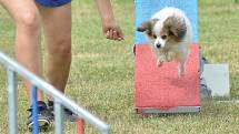 Agility v Ratenicích.