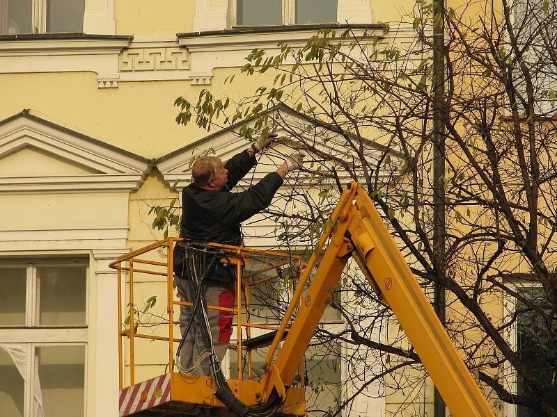 Stromy na Karlově náměstí v Kolíně se chystají na advent.