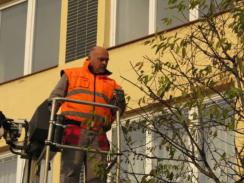 Stromy na Karlově náměstí v Kolíně se chystají na advent.