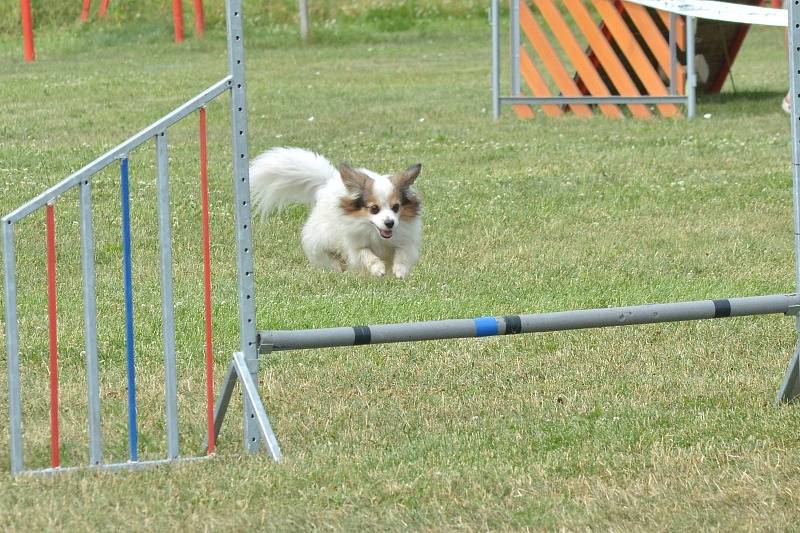 Agility v Ratenicích.