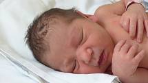 Viktorie Krištofová se narodila 13. července 2022 v kolínské porodnici, vážila 2460 g a měřila 45 cm. V Plaňanech ji přivítali sourozenci Eliška (14), Lukáš (12), Andrea (8), Miroslav (4) a maminka Adela.