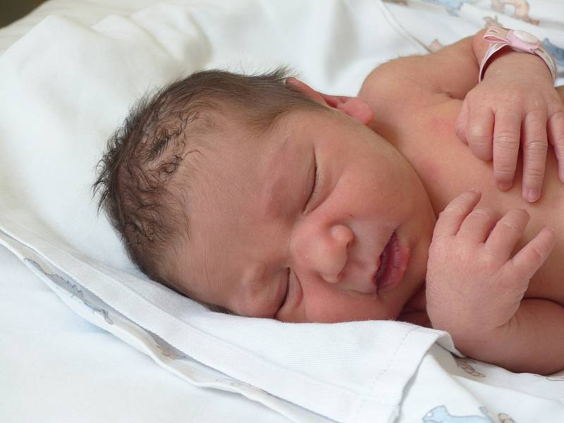 Viktorie Krištofová se narodila 13. července 2022 v kolínské porodnici, vážila 2460 g a měřila 45 cm. V Plaňanech ji přivítali sourozenci Eliška (14), Lukáš (12), Andrea (8), Miroslav (4) a maminka Adela.