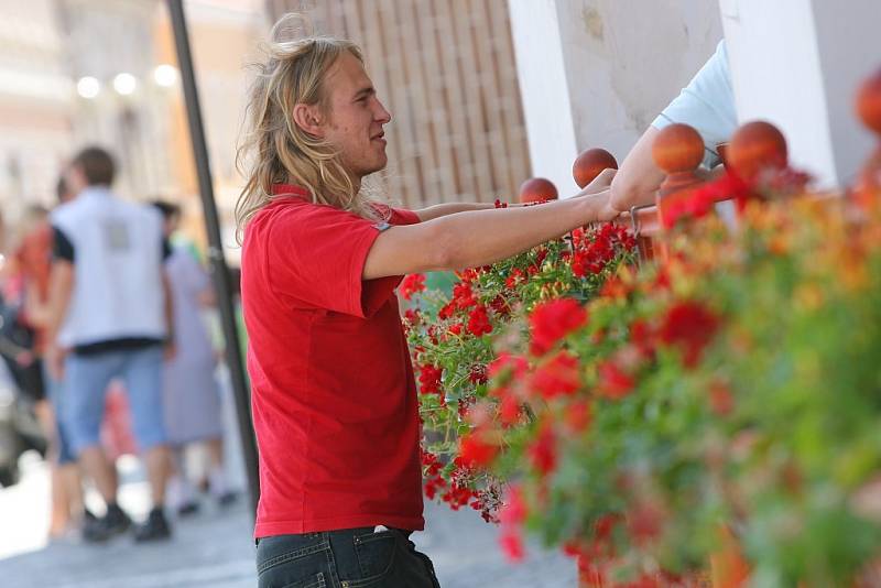 Letní den v ulicích a na náměstí Kolína