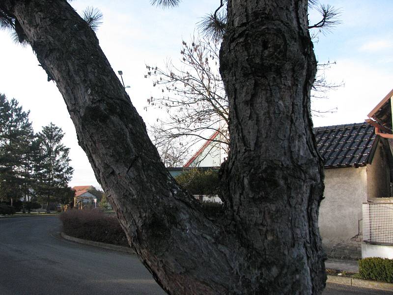 Fotokvíz: Poznáte obec na Kolínsku?