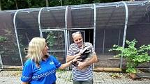 Městská policie Kolín dlouhodobě spolupracuje se Záchrannou stanicí pro handicapované živočichy Huslík v Poděbradech.