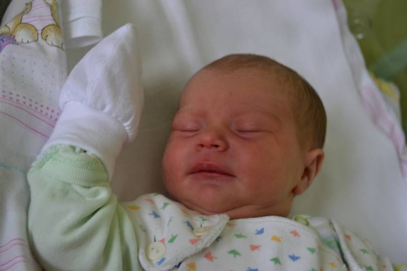 Prvním potomkem Petry a Jaroslava z Kutné Hory je dcera. Ellen Buriánková spatřila světlo světa 28. května 2013 s mírami 48 centimetrů a 2900 gramů.