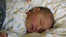 Ve středu 14. dubna 2010 se rodičům Romanovi a Vlastě z Peček narodila dcera Valerie Vanesa Bihariová. Prvorozená přišla na svět ve 20.57 hodin s mírou 46 centimetrů a váhou 3110 gramů.