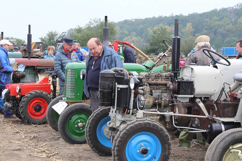 Starokolínská brázda 2017.