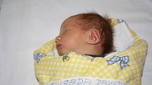 David Vejsada se jako prvorozený narodil 8. listopadu 2011. Po příchodu na svět měřil 50 centimetrů a vážil 3350 gramů. Rodiče Martina Kafková a Tomáš Vejsada si ho odvezli do Cerhenic.