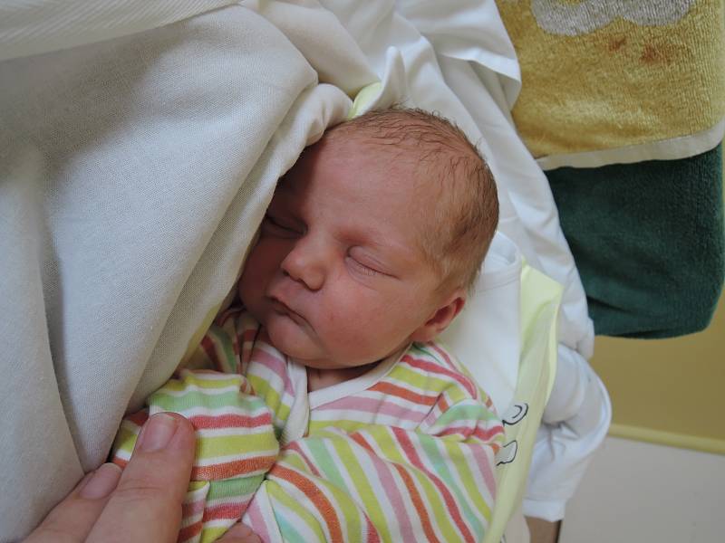 Anna Břízová se narodila 21. února 2017 mamince Renatě a tatínkovi Petrovi z Třebovle. Po narození se chlubila výškou 51 centimetr a váhou 3435 gramů.