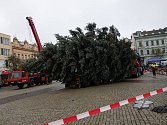 Na Karlovo náměstí v Kolíně dorazil vánoční strom.