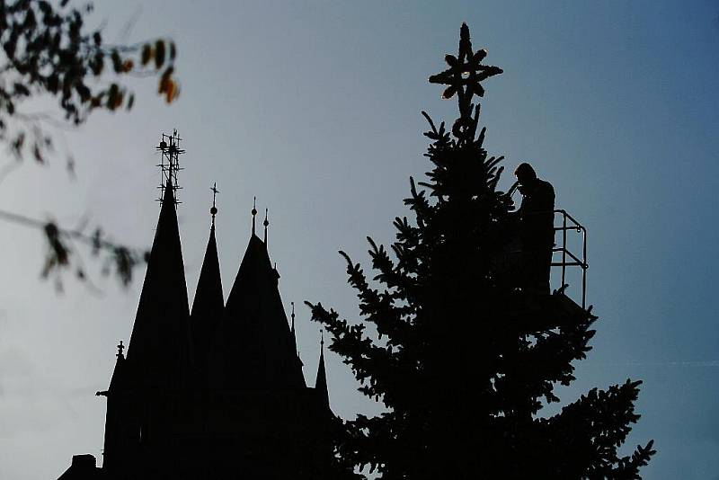 Vánoční strom už je na Karlově náměstí v Kolíně. 26.11. 2009