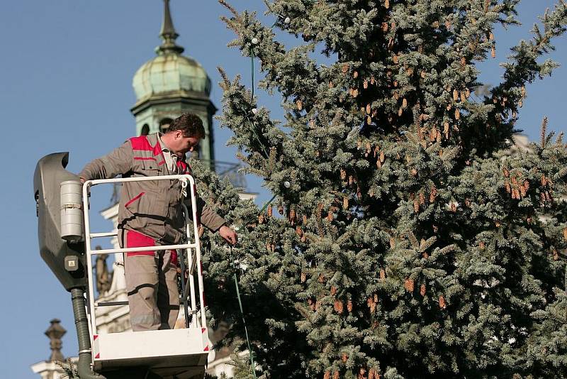 Vánoční strom už je na Karlově náměstí v Kolíně. 26.11. 2009