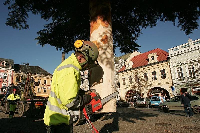 Vánoční strom už je na Karlově náměstí v Kolíně. 26.11. 2009