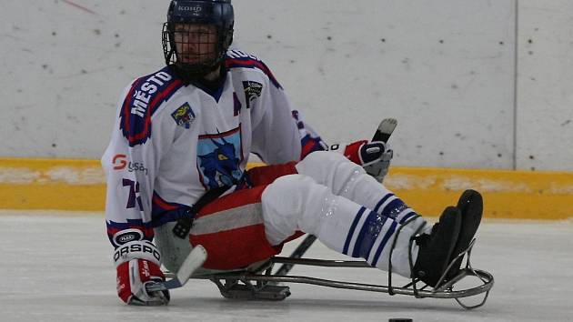 Z utkání extraligy sledge hokejistů Kolín - České Budějovice.