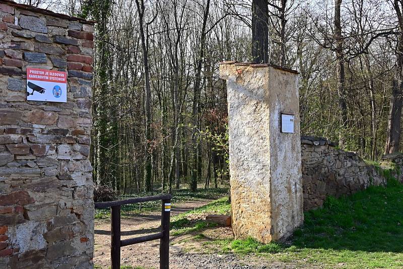 Z procházky naučnou stezkou Zásmucká bažantnice.