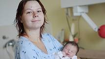 Markétě Kožnarové a Tomášovi Vlastníkovi z Poděbrad se 8. srpna 2010 narodila dcera Tereza Vlastníková. V den svého narození měřila 50 centimetrů a vážila 3200 gramů.