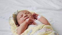 Viktorie Lambertová se narodila 6. srpna 2010, kdy měřila 51 centimetrů a vážila 4040 gramů. S rodiči Gabrielou Semrádovou a Pavlem Lambertem pojedou do Klučova.