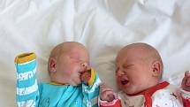 Alexandr a Anna Cingelovi se narodili 2. dubna 2022 v kolínské porodnici. Alexandr vážil 3280 g a měřil 51 cm. Anna vážila 3160 g a měřila 50 cm. V Cerhenicích se z nich těší bráška Tadeáš (3) a rodiče Iva a Tomáš.