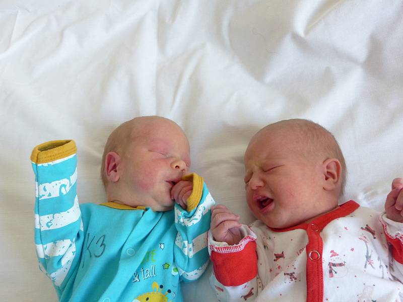 Alexandr a Anna Cingelovi se narodili 2. dubna 2022 v kolínské porodnici. Alexandr vážil 3280 g a měřil 51 cm. Anna vážila 3160 g a měřila 50 cm. V Cerhenicích se z nich těší bráška Tadeáš (3) a rodiče Iva a Tomáš.