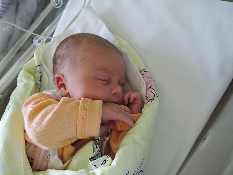 Adéla Suchánková se poprvé rozhlédla 21. února 2017. Po porodu se pyšnila mírami 51 centimetr a 3870 gramů. S maminkou Petrou, tatínkem Liborem a dvouletou Barunkou je doma v Ohařích.