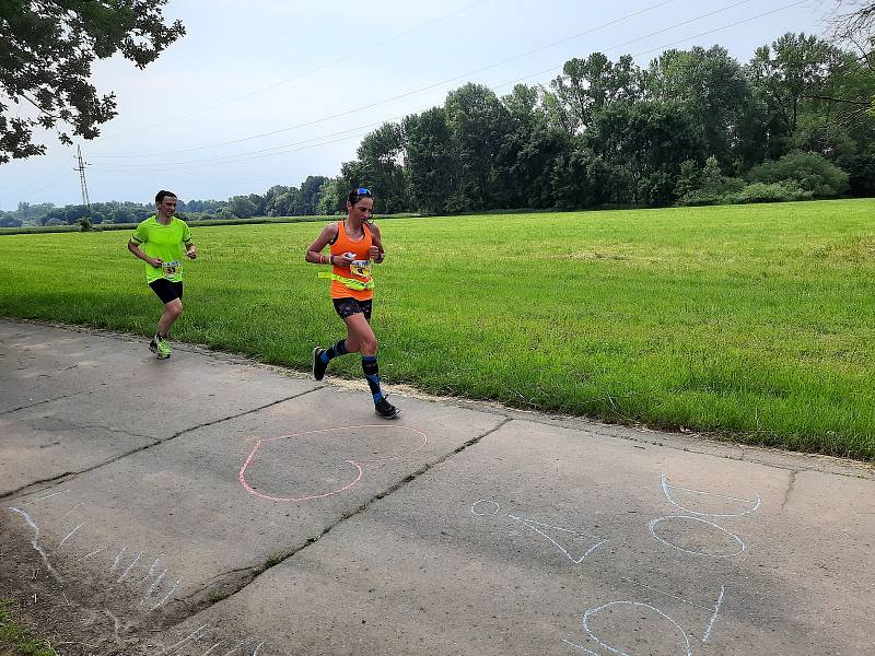 Maratonci různého věku doběhli z Kolína do Poděbrad a zpět v rámci závodu MFB MarathOn Labe letos podruhé.