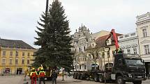 Příjezd vánočního stromu do Kolína v pondělí 21. listopadu 2022.