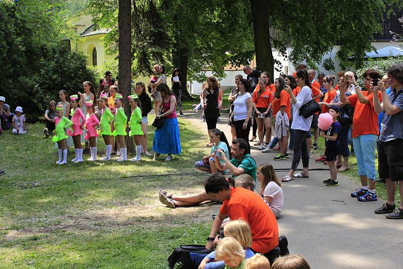 V sobotu se u pivovarského rybníka v Českém Brodě konal festival neziskových organizací.