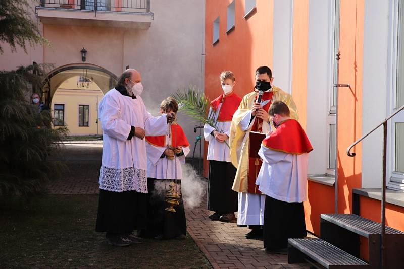 V Českém Brodě se na Květnou neděli sešli věřící na farní zahradě, kde byly posvěceny kočičky znázorňující ratolesti.