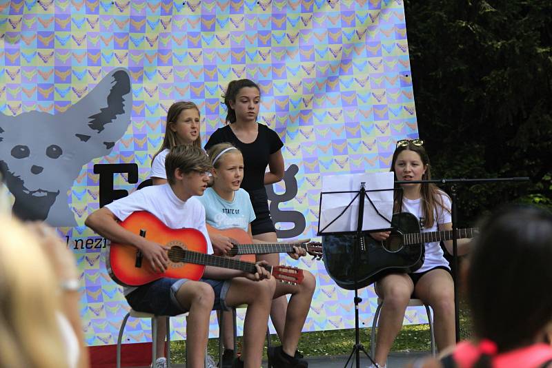 V sobotu se u pivovarského rybníka v Českém Brodě konal festival neziskových organizací.