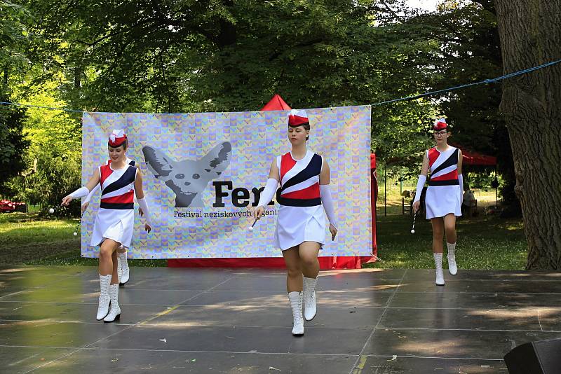 V sobotu se u pivovarského rybníka v Českém Brodě konal festival neziskových organizací.