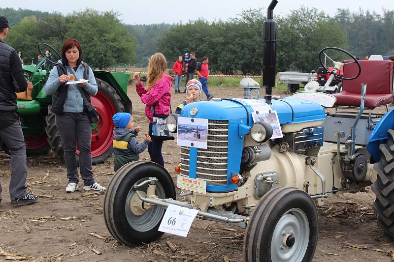 Starokolínská brázda 2017.