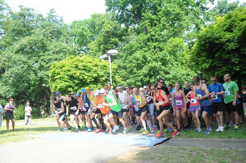 Mezinárodní festival běhu 2015.