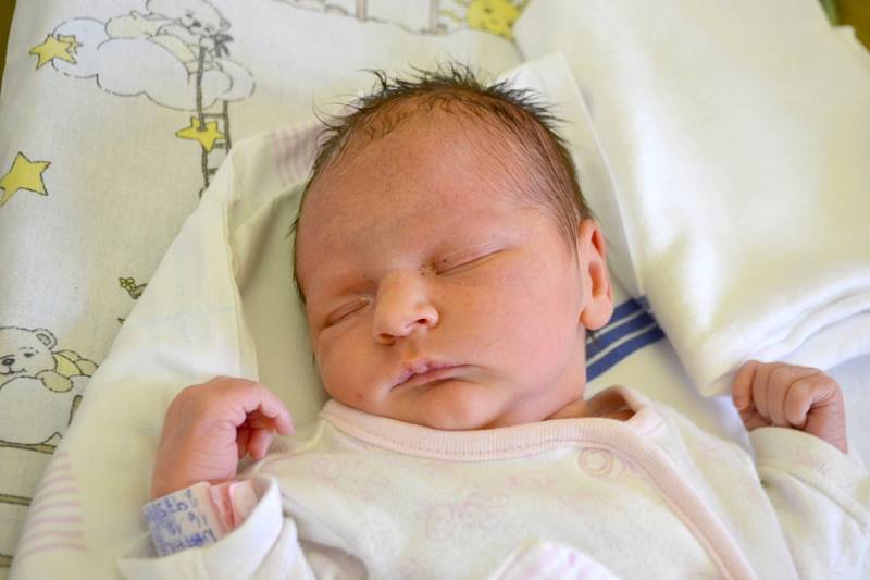 Natálie Horová poprvé zakřičela 16. října 2013 s mírami 49 centimetrů a 2975 gramů. Maminka Eva a tatínek Jakub se ze své prvorozené radují v Kácově.