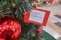 Na stromě přání letos visí přání seniorů z kutnohorského domova.