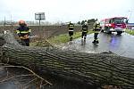 Hasiči likvidují padlý strom u Velimi v neděli 2. května 2021.