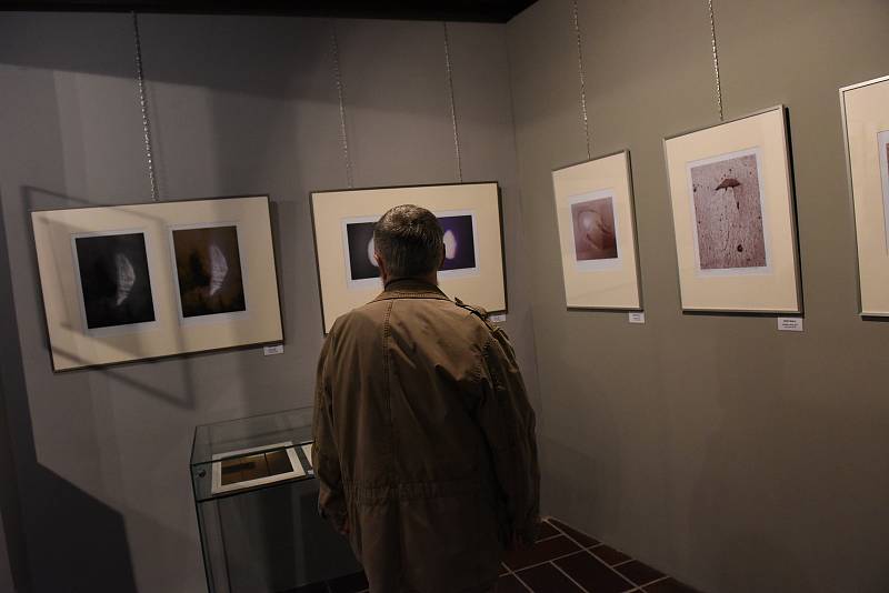 I tentokrát se vystavující fotografové sešli na společné výstavě v kolínském muzeu.