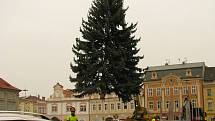 Vánoční strom přicestoval na kolínské náměstí.