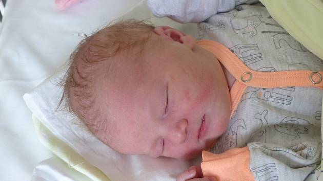 Tereza Vedralová se narodila 1. května 2022 v kolínské porodnici, vážila 3500 g a měřila 50 cm. Do Radvanic si ji odvezla sestřička Eliška (6) a rodiče Lucie a Martin.