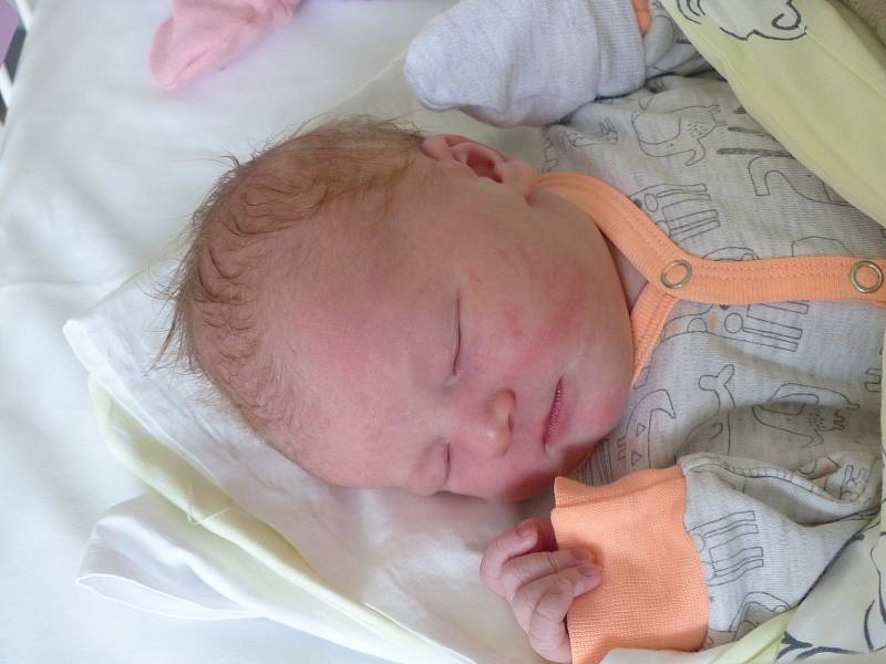 Tereza Vedralová se narodila 1. května 2022 v kolínské porodnici, vážila 3500 g a měřila 50 cm. Do Radvanic si ji odvezla sestřička Eliška (6) a rodiče Lucie a Martin.