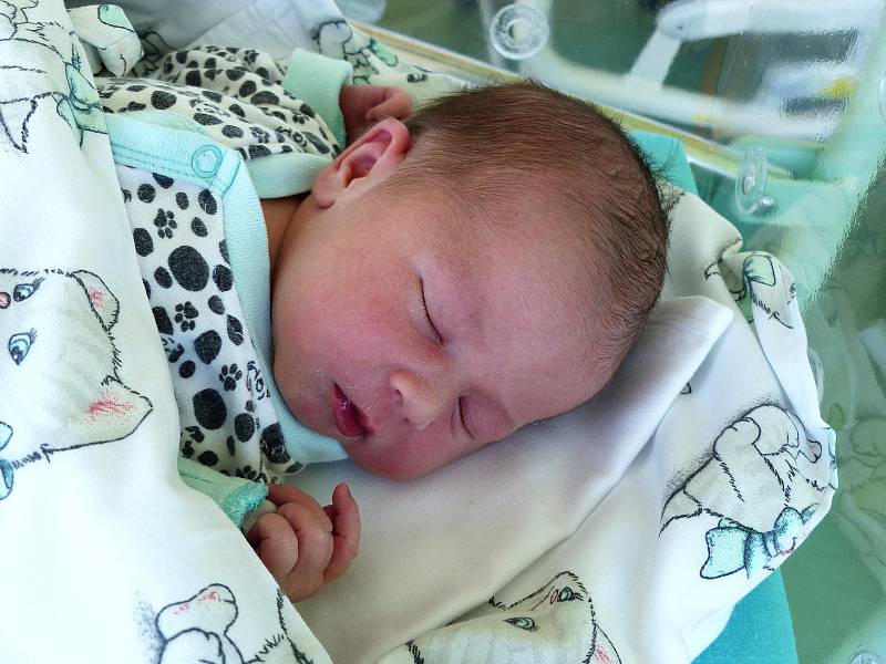 Anna Dvořáková se narodila 19. června 2019, vážila 3200 g a měřila 49 cm. V Pečkách se z ní těší maminka Aneta a tatínek Aleš.