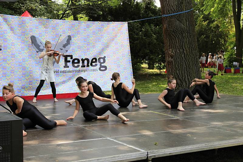 V sobotu se u pivovarského rybníka v Českém Brodě konal festival neziskových organizací.