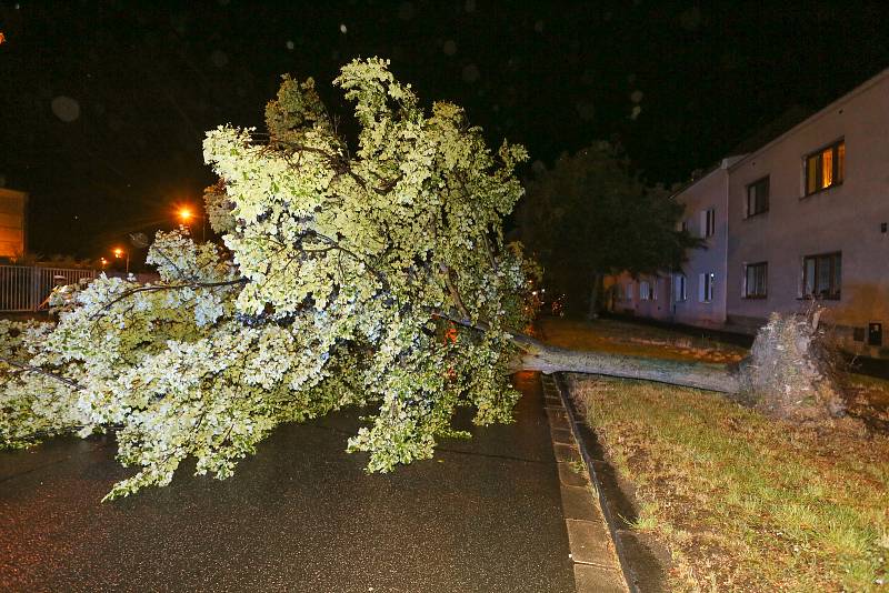 Vyvrácený strom v Havlíčkově ulici v Kolíně po noční bouřce v pátek 20. května 2022.